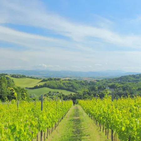 Luxury With Garden Villa