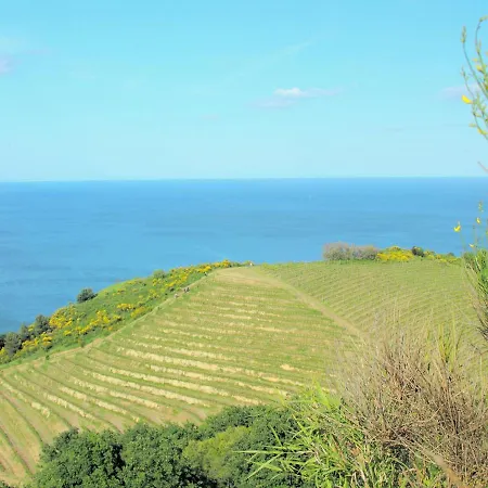 Luxury With Garden *